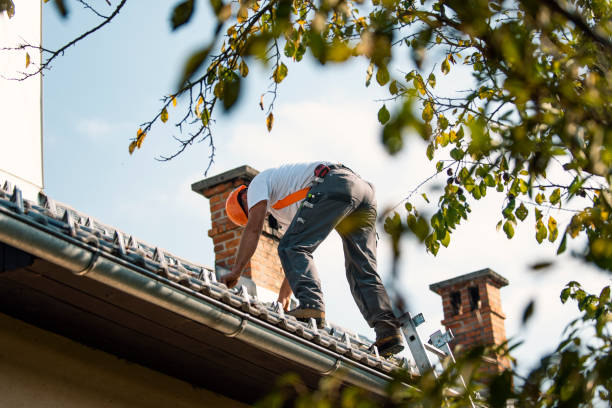 Fast & Reliable Emergency Roof Repairs in Greenwood, SC